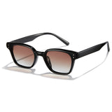Polarized Sunglasses 1051