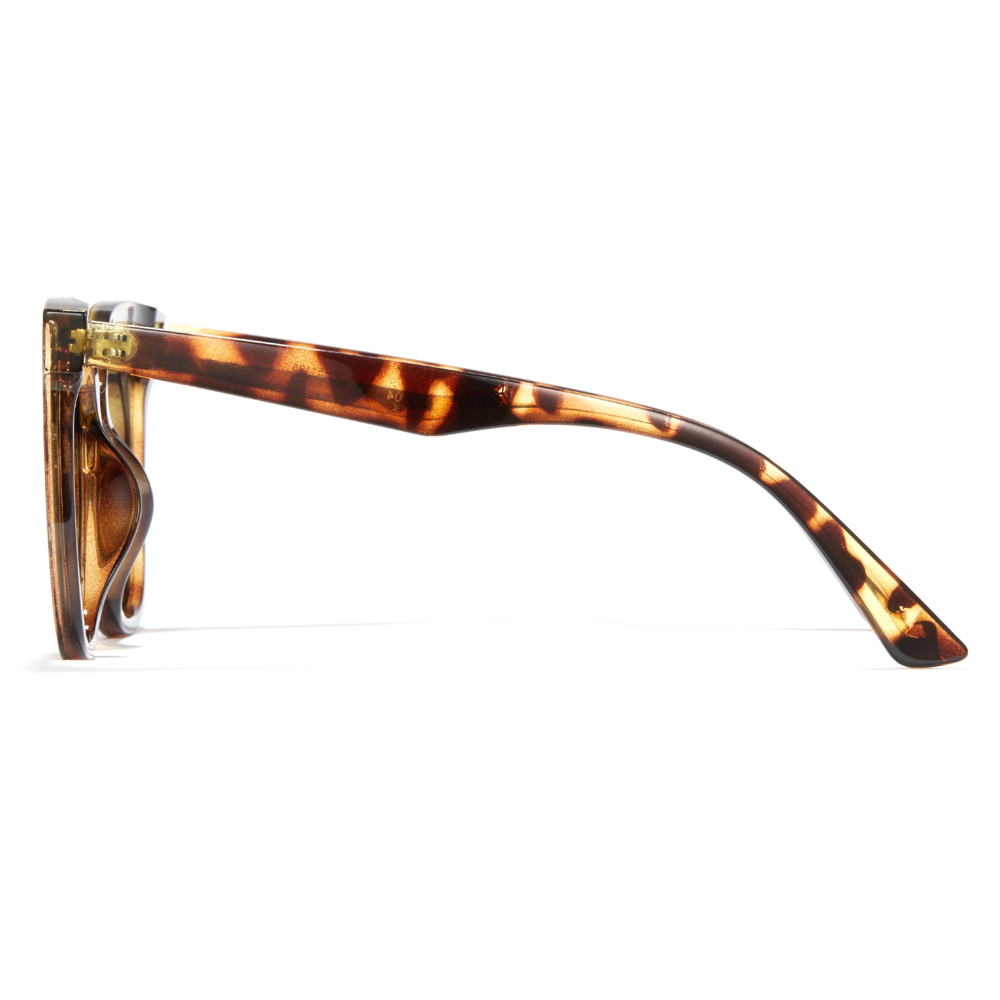 Magnetic Sunglasses 1055