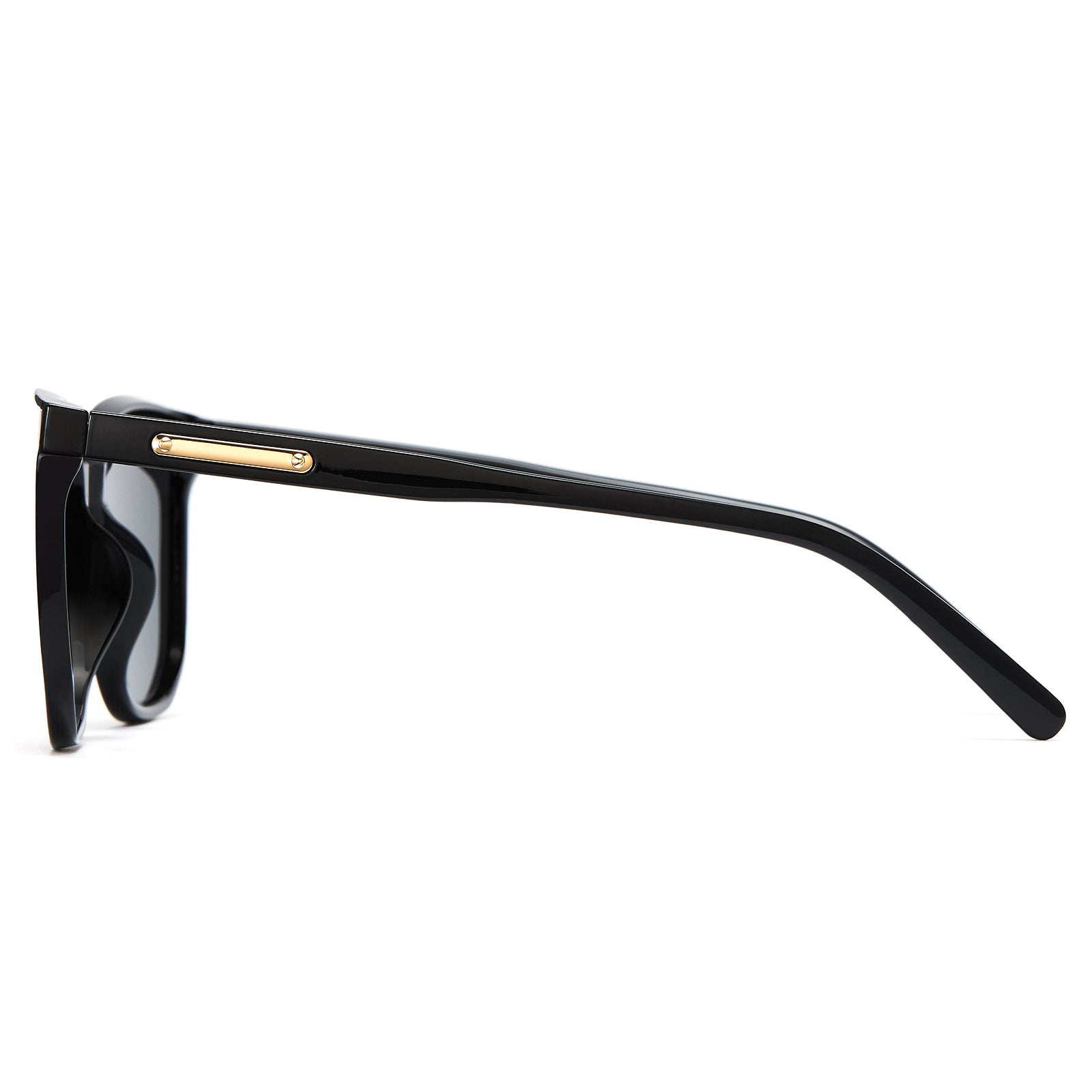 Polarized Sunglasses 1711